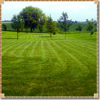 How To Care For Your Sod Once It's Installed