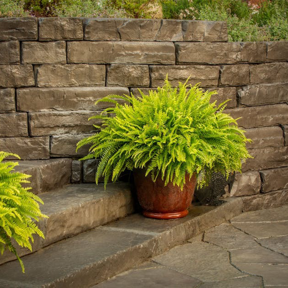 Kodah Wall