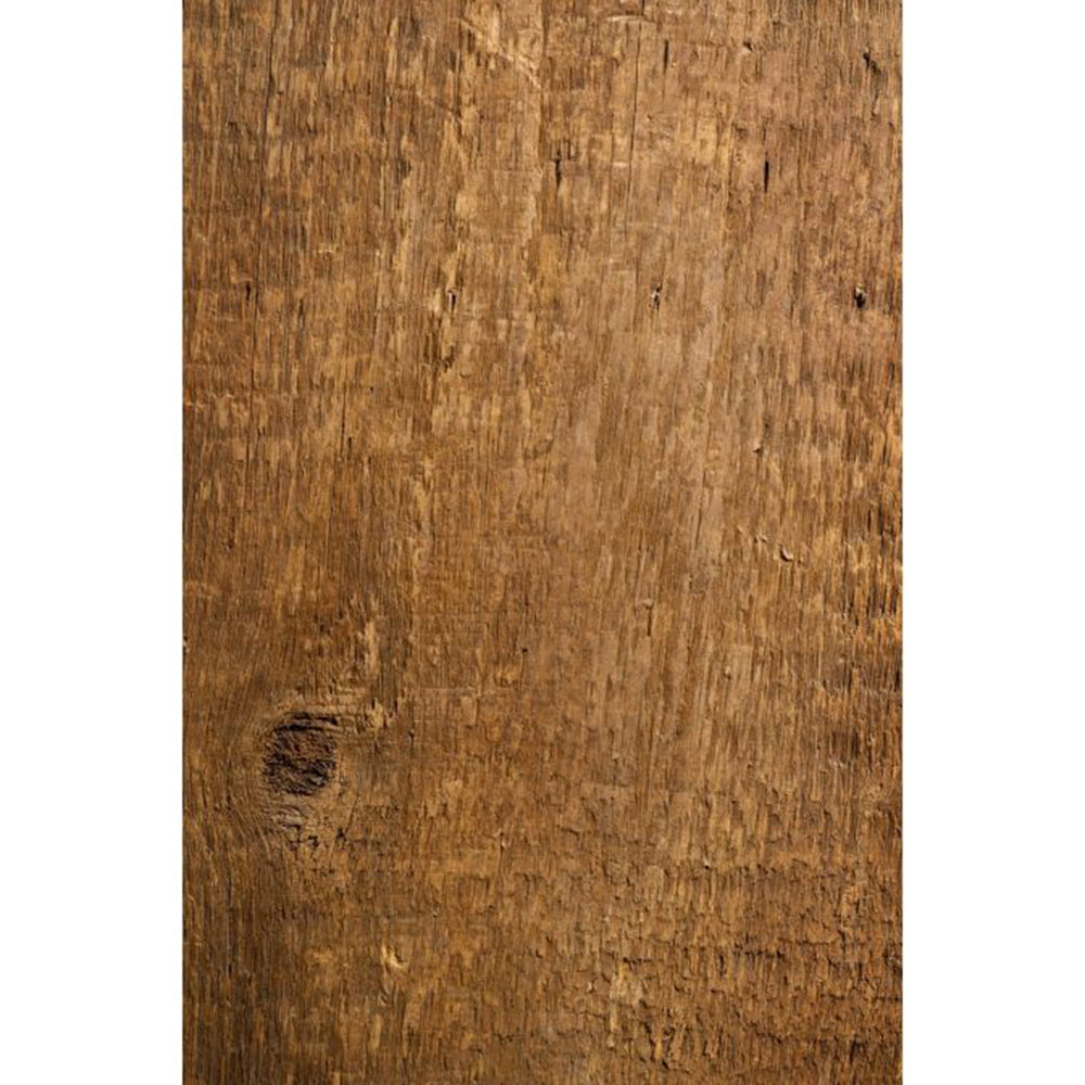 American Chestnut (Castanea dentata)